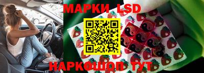 сатива Коммунар