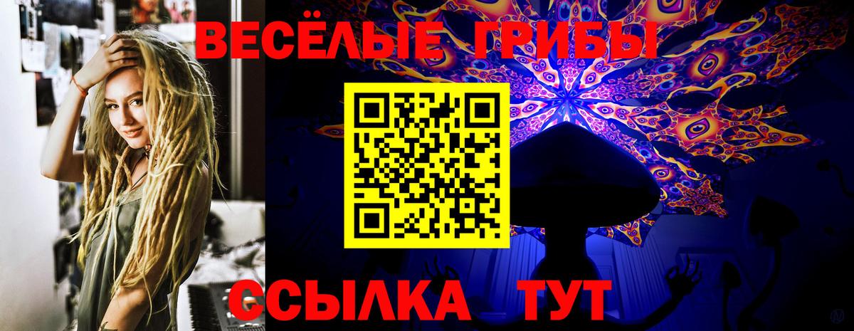 Псилоцибиновые грибы мицелий Котельники